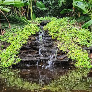 TROPICAL WATERFALL