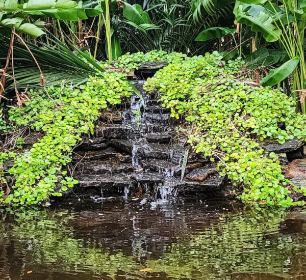 TROPICAL WATERFALL