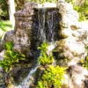 Caribbean Waterfall