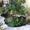 Florida Waterfall