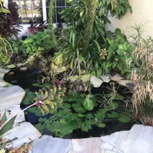Florida Waterfall