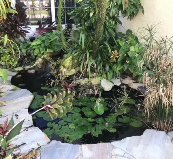 Florida Waterfall